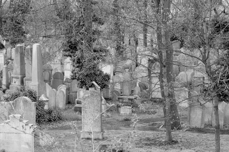 Macewy na cmentarzu żydowskim