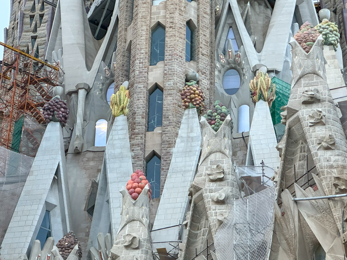 Rośliny łatwo można dostrzec również na fasadzie