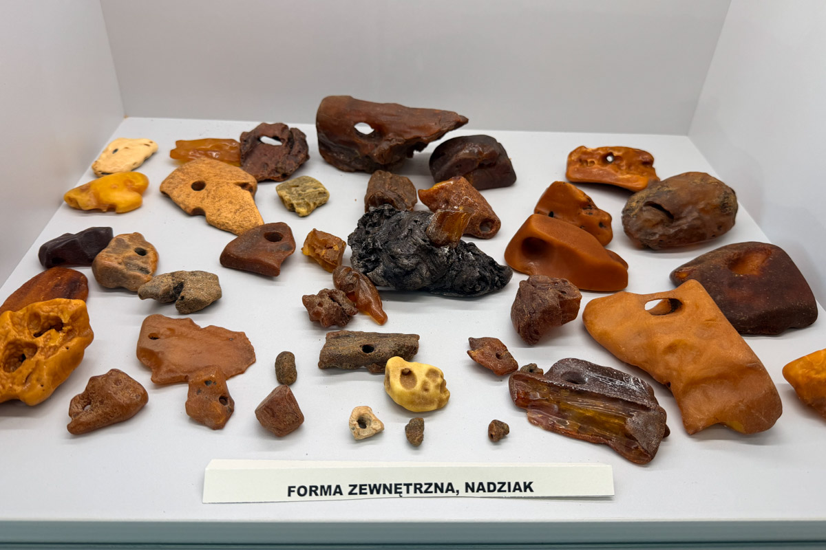 Muzeum bursztynu w Kołobrzegu
