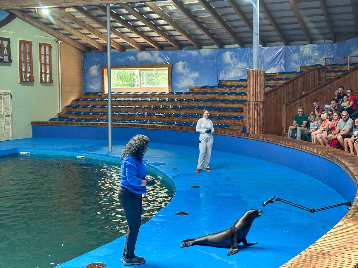 Sea Park - większość turystów przybywa tu dla pokazów