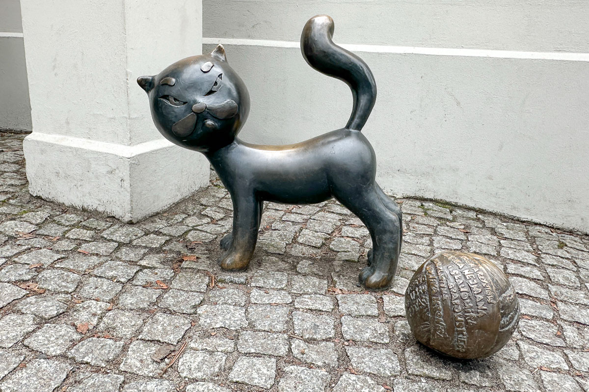 Kot Bonifacy przed muzeum