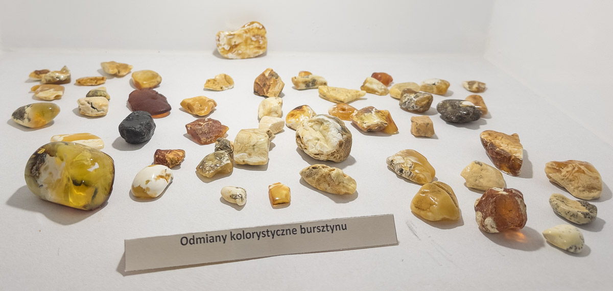 Muzeum Bursztynu w Ustce