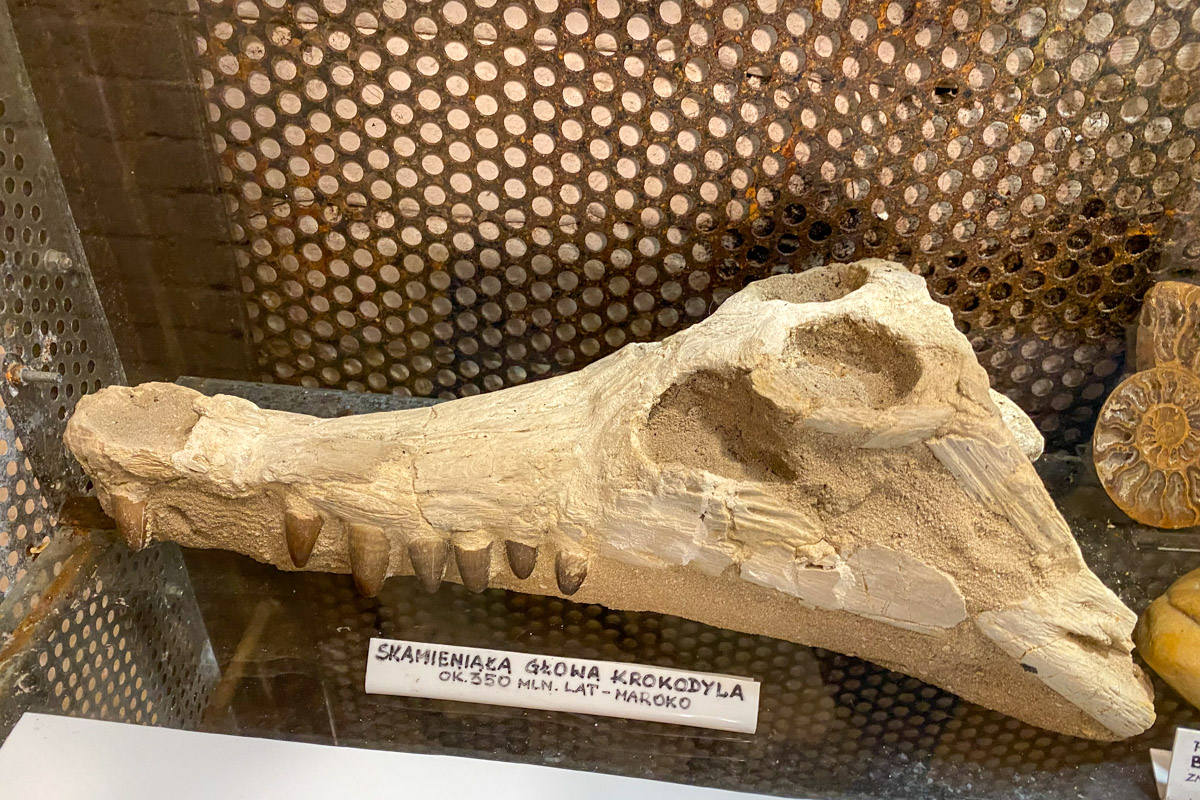 Muzeum Minerałów w Ustce