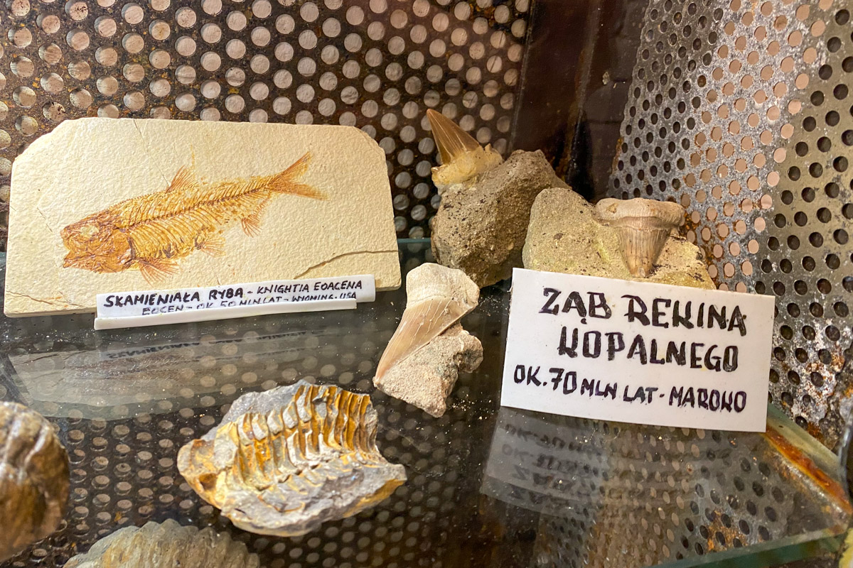 Muzeum Minerałów w Ustce