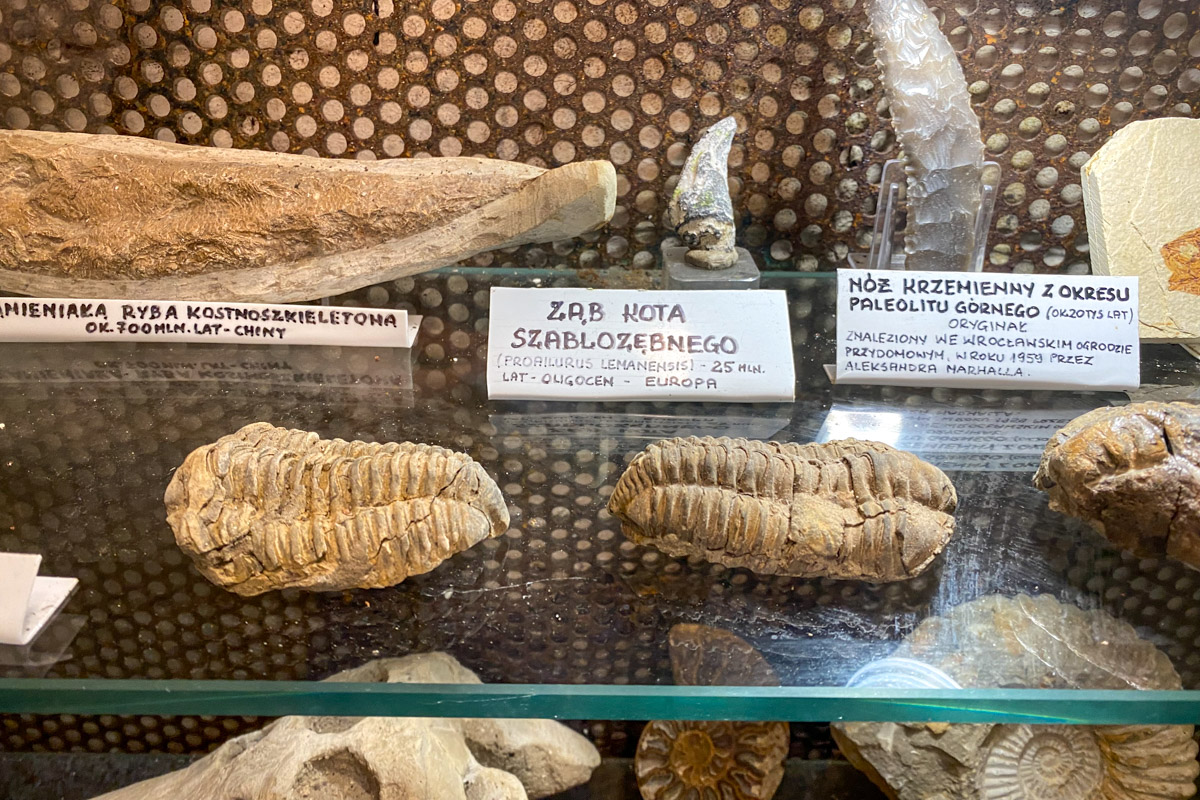 Muzeum Minerałów w Ustce