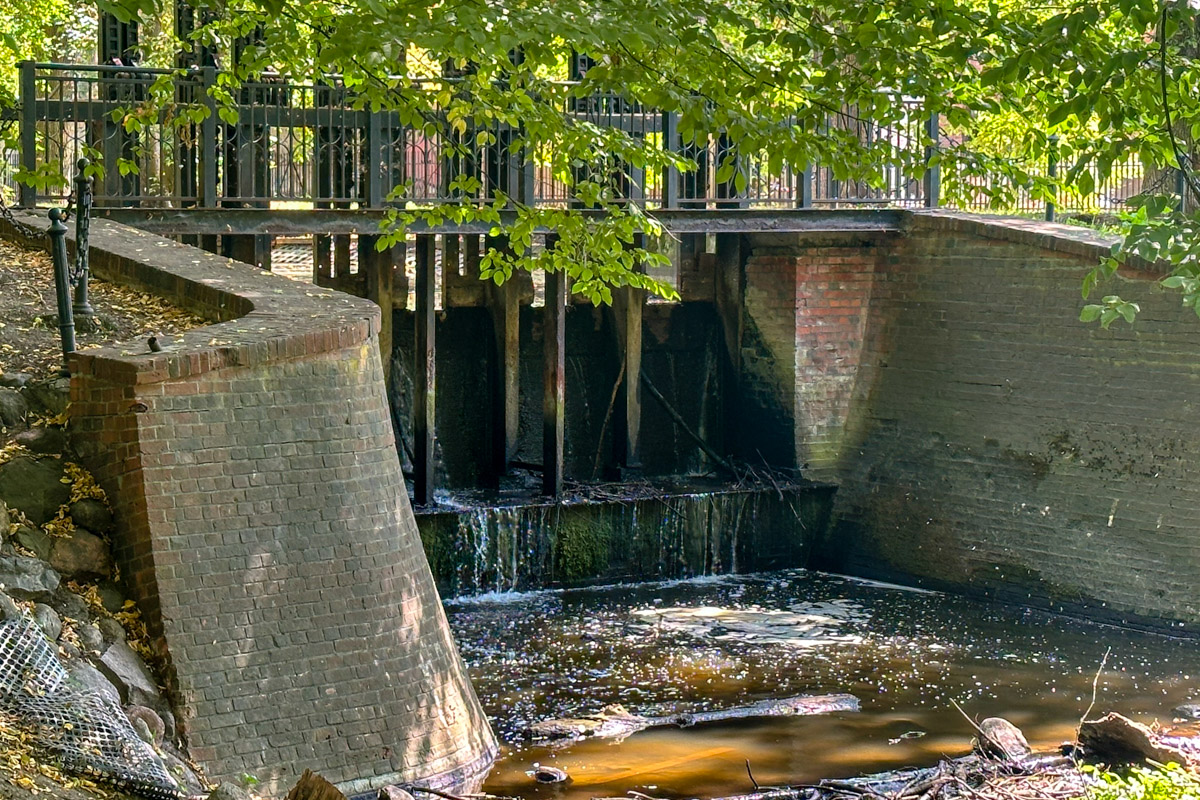 Park Dittricha - Żyrardów