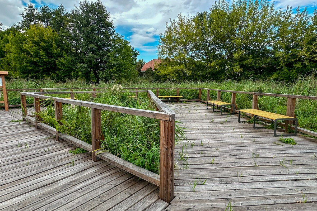 Kładka nad Pisią Gągoliną w Żyrardowie