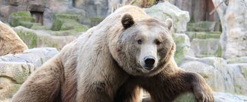 ZOO Madryt