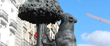 Niedźwiedź - symbol Madrytu