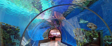 Den Blå Planet - oceanarium w Kopenhadze