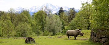 ZOO w Salzburgu