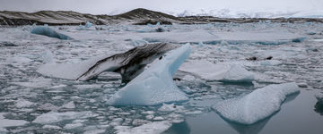 Jökulsárlón: słynna laguna lodowcowa na Islandii