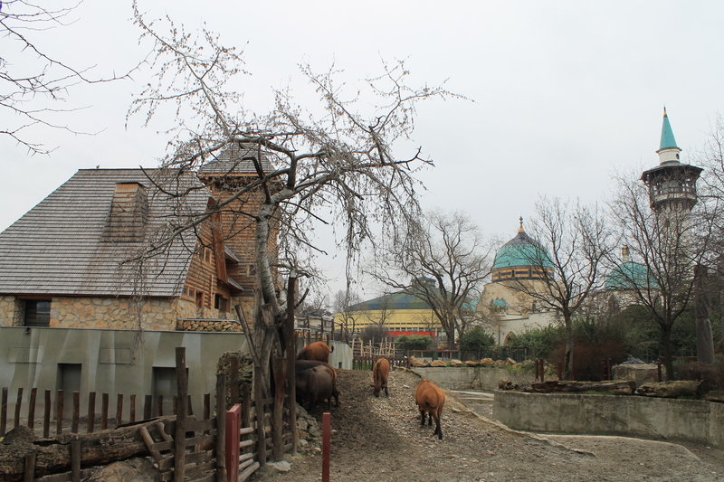 Budynki w ogrodzie zoologicznym