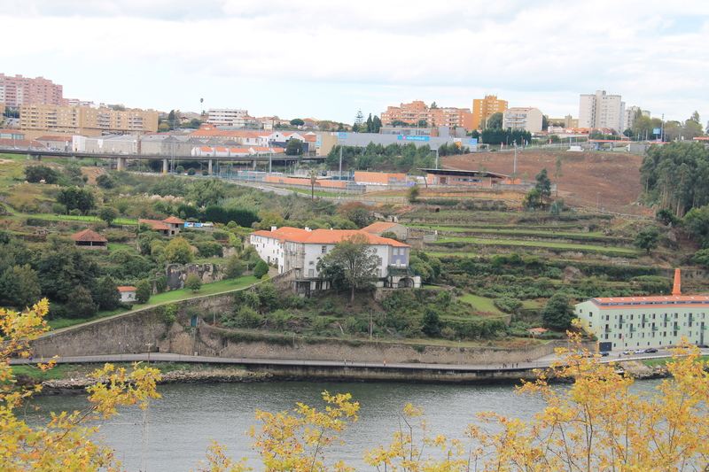 Porto - widok z ogrodów Kryształowego Pałacu