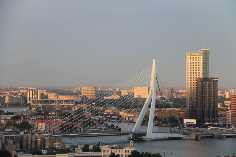 Widok na most Erasmusburg w Rotterdamie