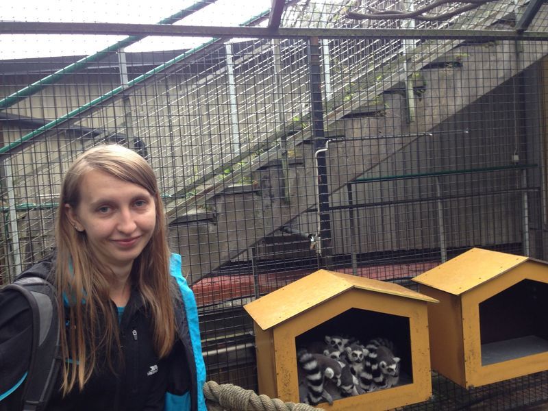 Lemury i Skansen w Sztokholmie