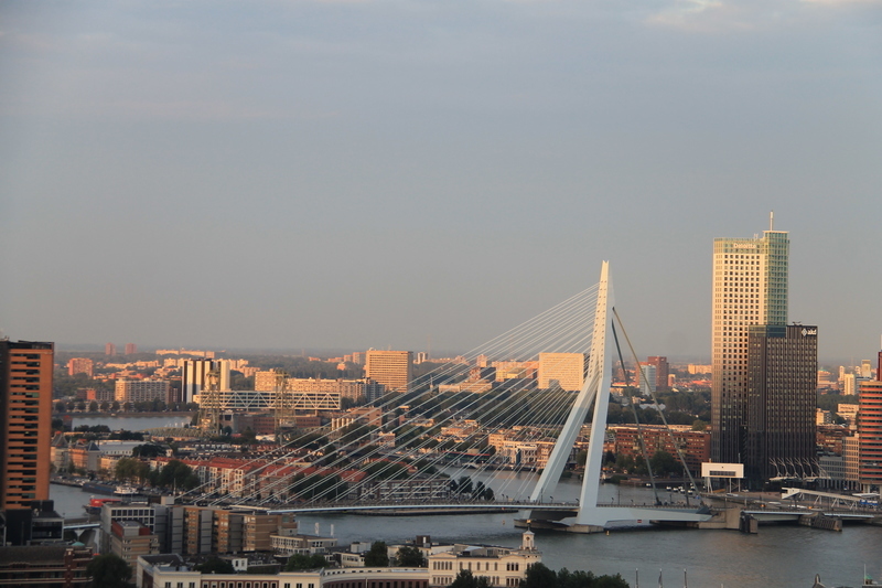 Widok z wieży widokowej Rotterdam