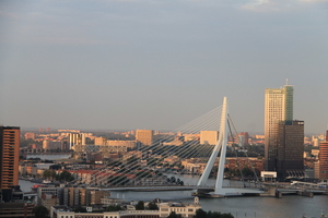 Widok na most Erasmusburg z wieży widokowej Euromast w Rotterdamie
