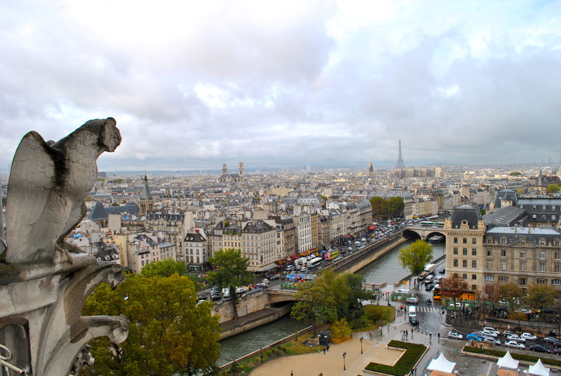 Widok z tarasu widokowego na Katedrze Notre-Dame w Paryżu