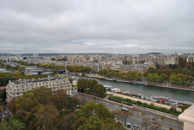 Widok z wieży Eiffla w Paryżu