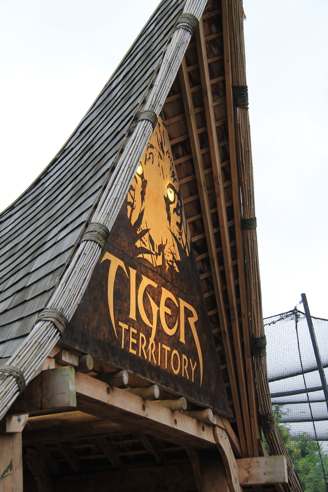 Tiger Territory - Zoo w Londynie