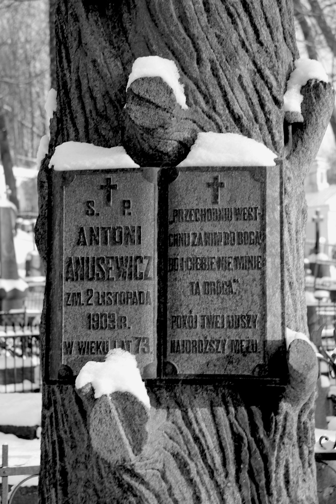 Wizyta na Cmentarzy Bernardyńskim w Wilnie