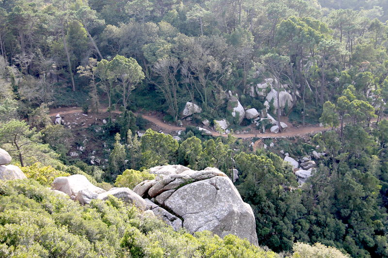 Widok z Zamku Maurów w Sintrze