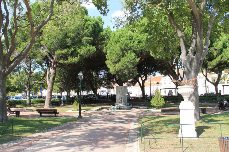 Jardin de Belem w Lizbonie