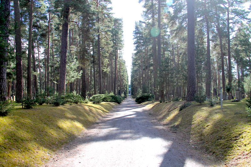 Skogskyrkogården - leśny cmentarz w Sztokholmie
