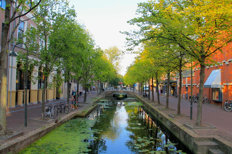 widok na kanały w Delft
