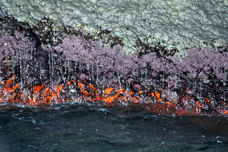 Koralowa Grota - czerwone koralowce w jaskini morskiej wyspy Capri