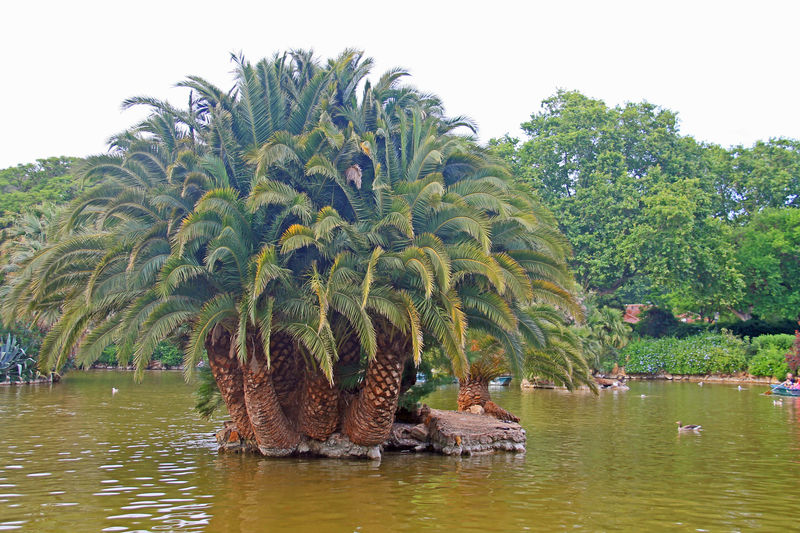 Jezioro w Parc de la Ciutadella - Barcelona