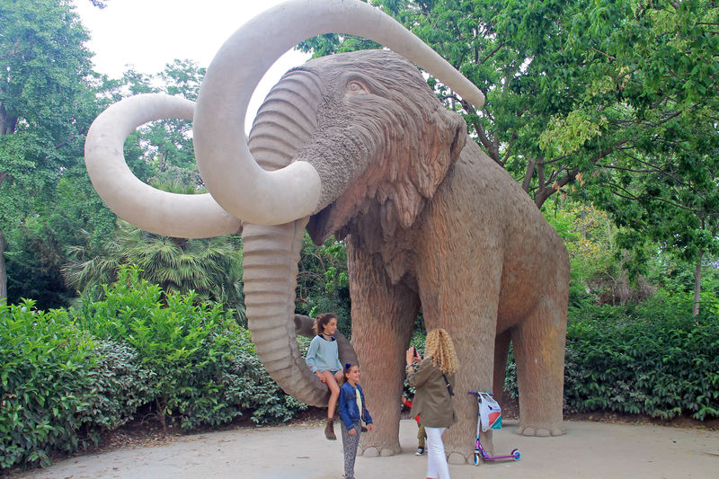 Mamut w Parku Cytadeli - Parc de la Ciutadella - Barcelona