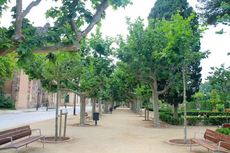 [Parc de la Ciutadella - Barcelona]