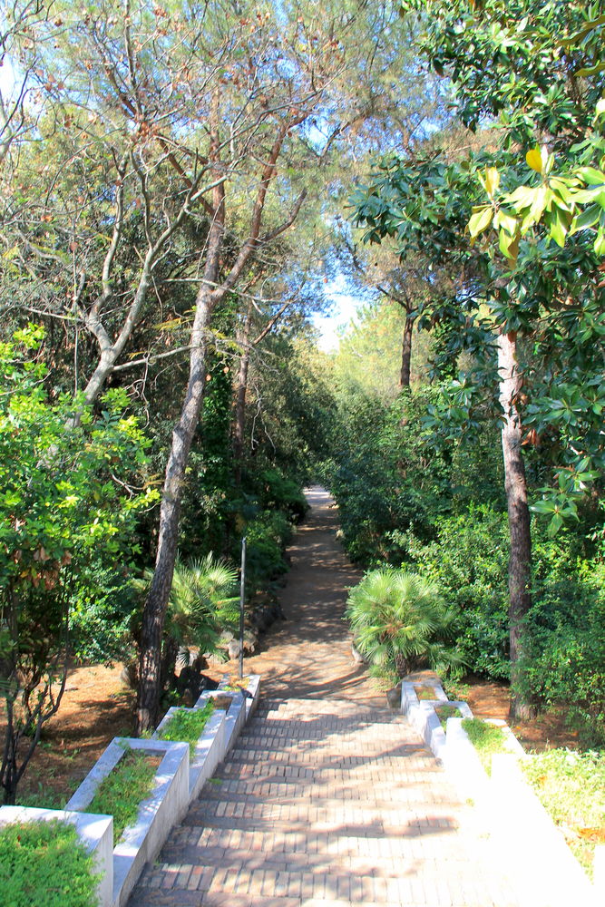 Parco Pineta Mirtina - park na wyspie Ischia