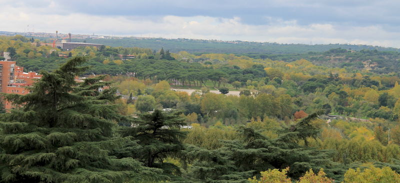 Madryt - widok z ogrodów pałacowych Campo del Moro na okolicę