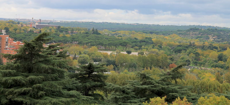 Madryt - widok z ogrodów pałacowych Campo del Moro na okolicę