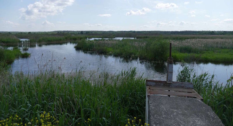 Puszcza Rudnicka - pomysł na jednodniową wycieczkę w Wilna