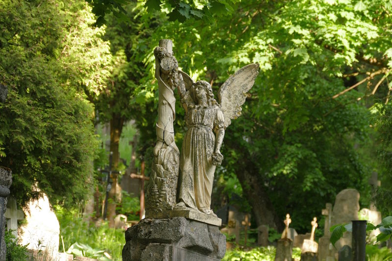Cmentarz wojskowy na Antokolu w Wilnie
