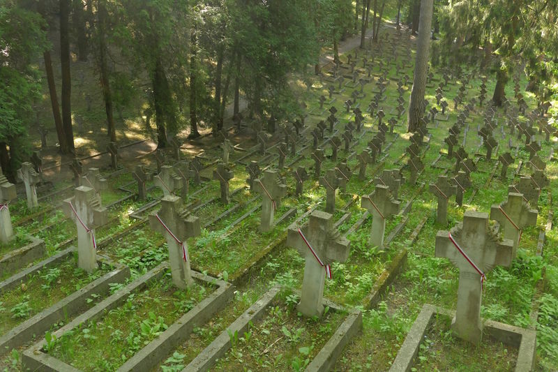 Cmentarz wojskowy na Antokolu w Wilnie