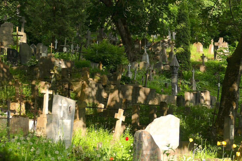 Wojskowy cmentarz na Antokolu w Wilnie