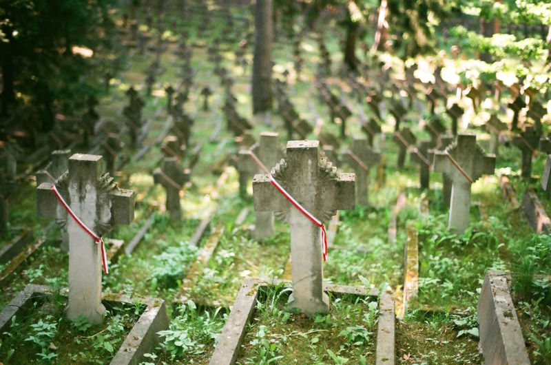 Litwa - wileńskie cmentarze - Wojskowy cmentarz na Antokolu