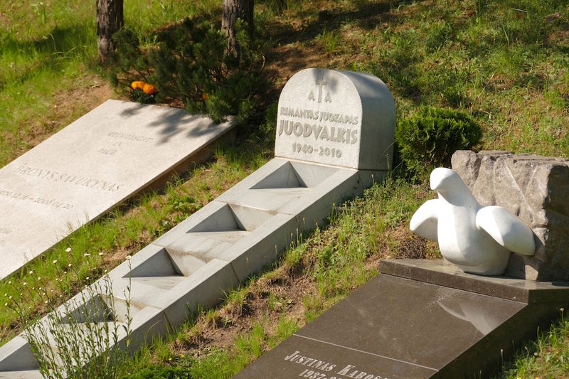 Wojskowy cmentarz na Antokolu w Wilnie