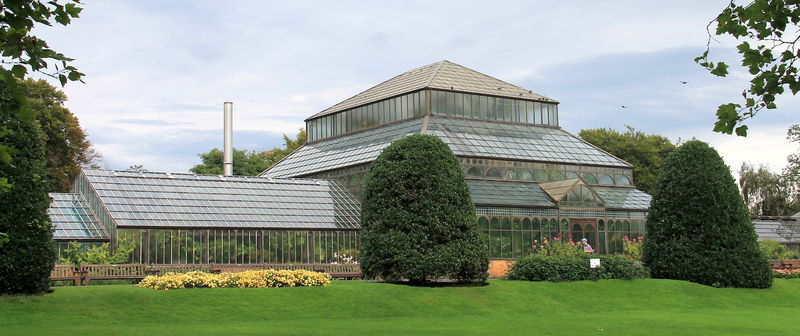 !Szklarnia Main Range - stara oranżeria - ogród botaniczny w Glasgow