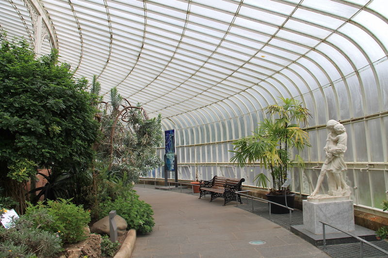 Szklarnia - ogród botaniczny w Glasgow