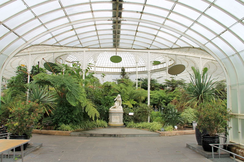 !Wnętrze szklarni Kibble Palace - ogród botaniczny w Glasgow