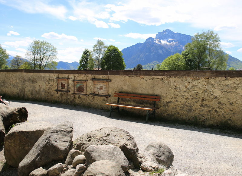 Zoo w Salzburgu - widok na Alpy