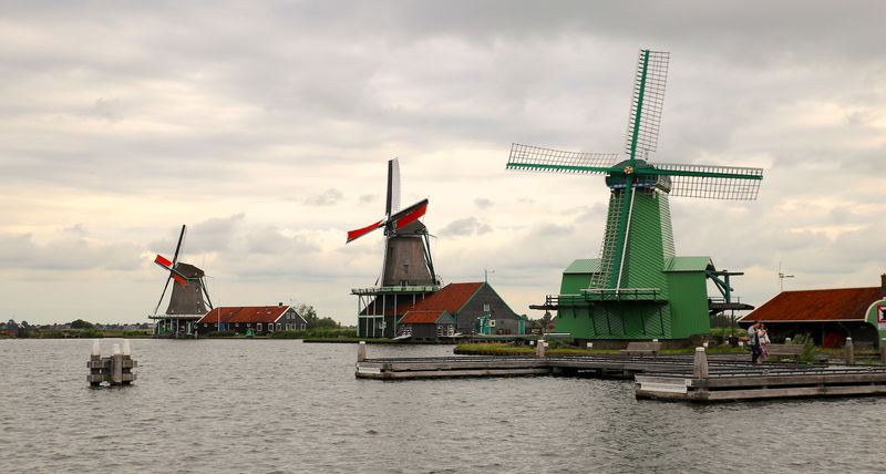 Widok na wiatraki w skansenie Zaanse Schans