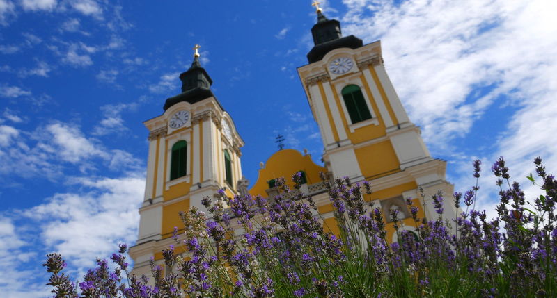 Widok na fragment Katedry w Szekesfehervar