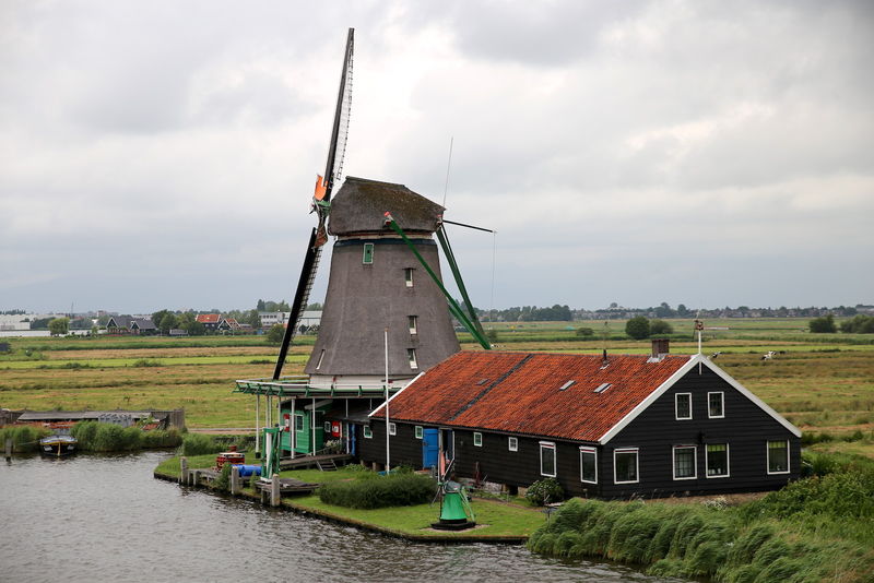 Widok z wiatraka De Kat - Skansen Zaanse Schans